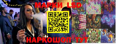 индика Заволжье