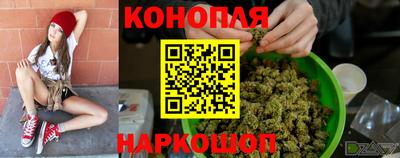 индика Заволжье