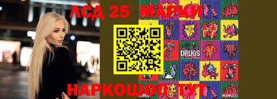 индика Заволжье