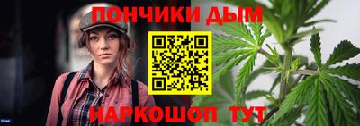 индика Заволжье