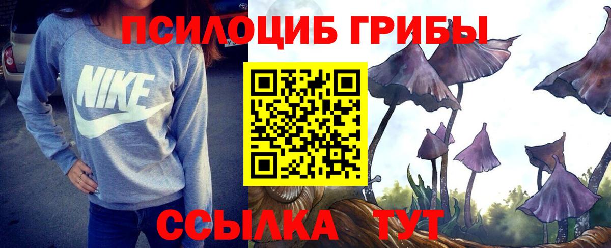 Псилоцибиновые грибы ЛСД Менделеевск